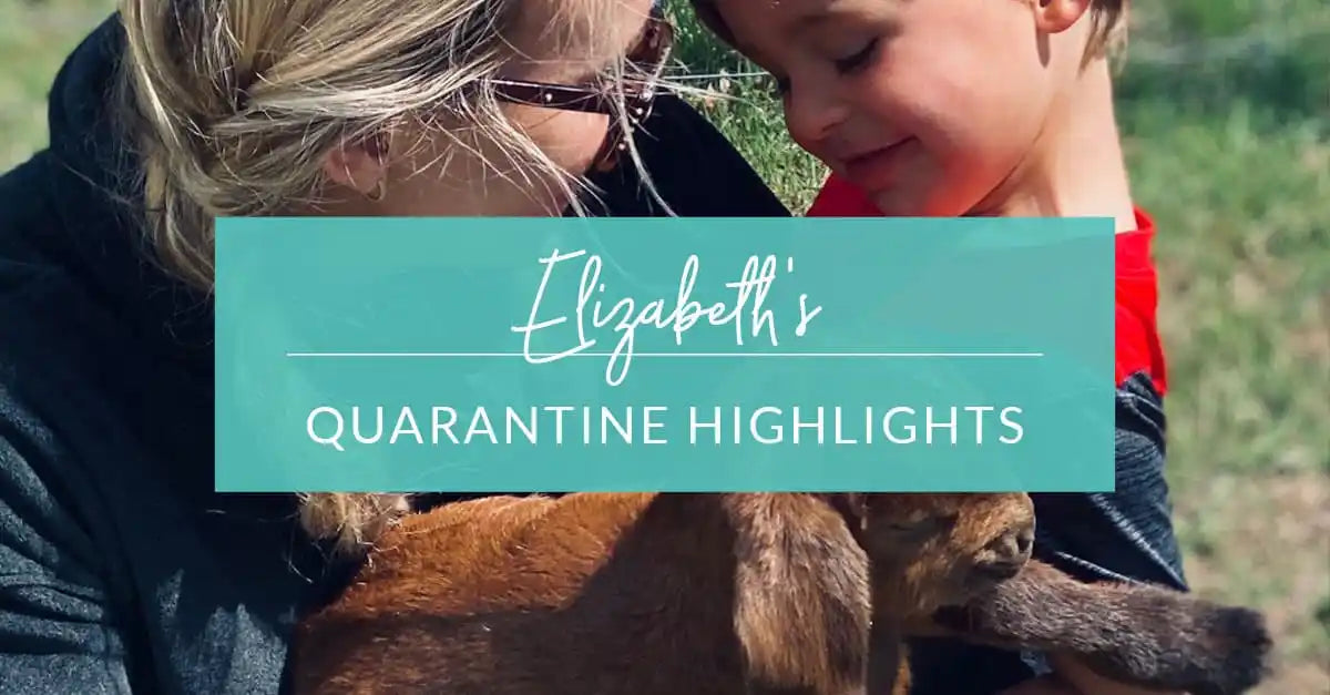 Elizabeth’s Quarantine Highlights