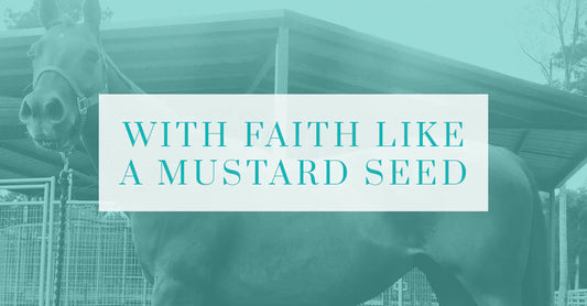 With Faith Like a Mustard Seed: How a Cowgirl’s Love for Her Mare Moved Mountains