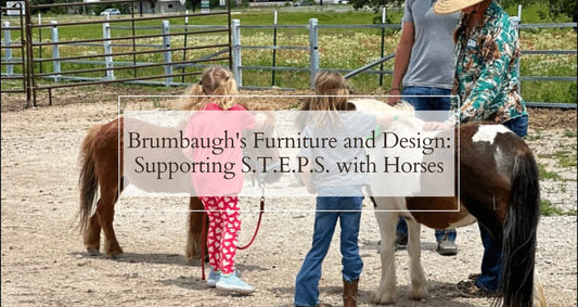 Brumbaugh’s Furniture and Design: Supporting S.T.E.P.S. with Horses