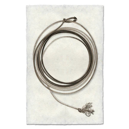 Lasso