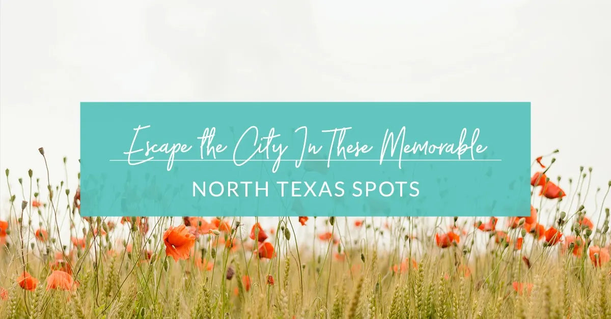 Escape the City In These Memorable North Texas Spots