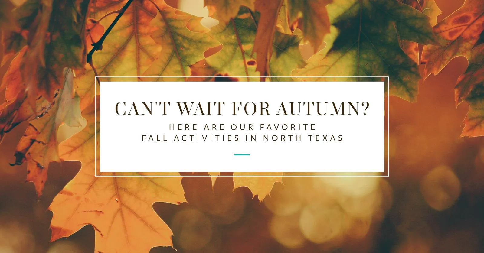 Can’t Wait For Autumn? Here are Our Favorite Fall Activities in North Texas