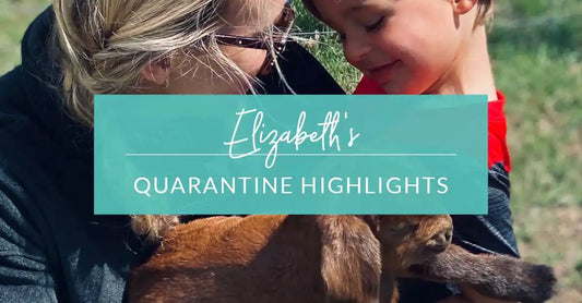 Elizabeth’s Quarantine Highlights