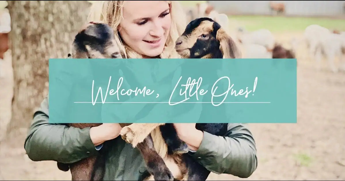 Welcome, Little Ones!