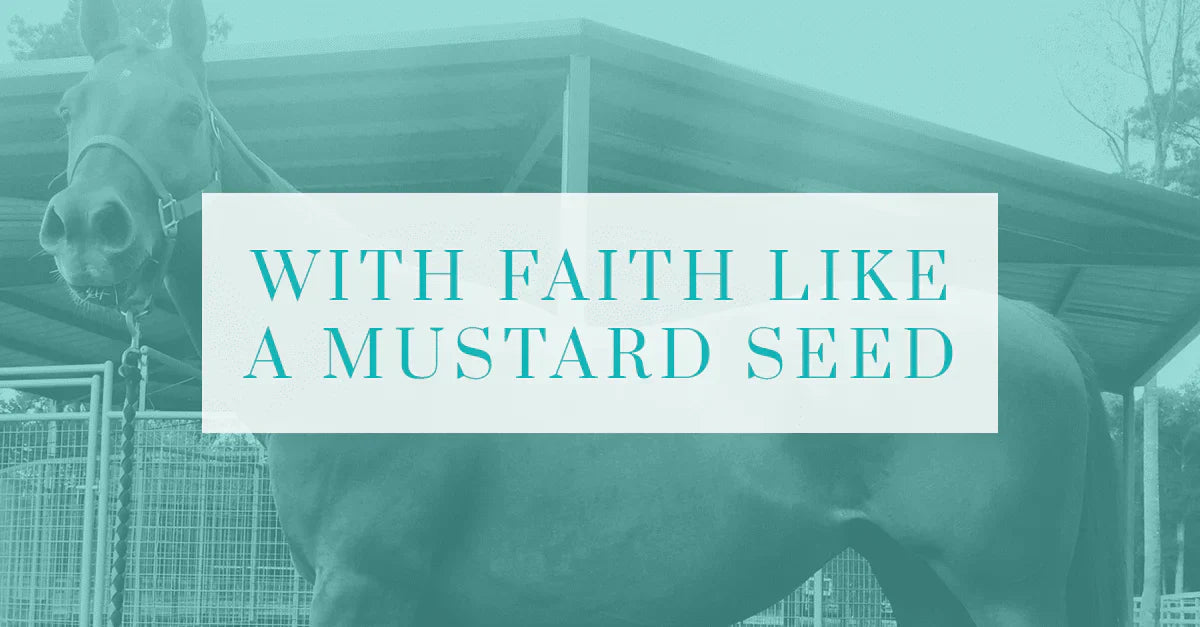 With Faith Like a Mustard Seed: How a Cowgirl’s Love for Her Mare Moved Mountains