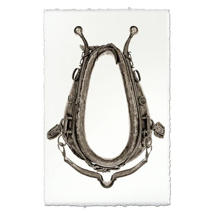 Horse Collar