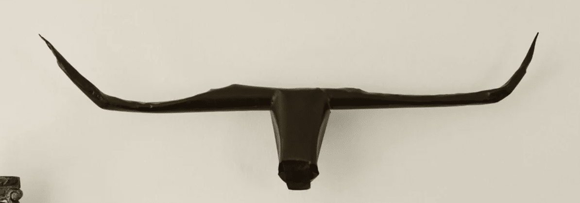 Cabeza de Toro