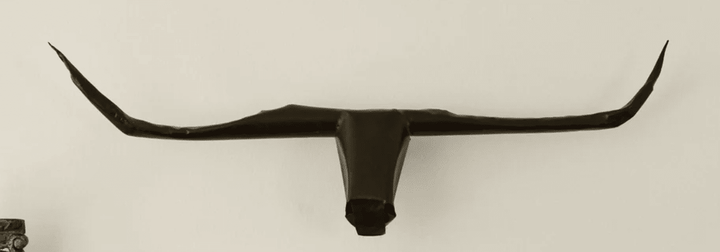 Cabeza de Toro